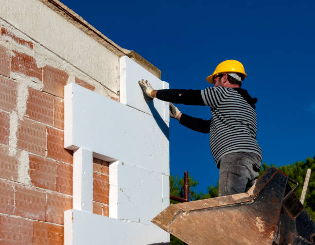 Best Eco-Friendly Insulation in Chesapeake, OH