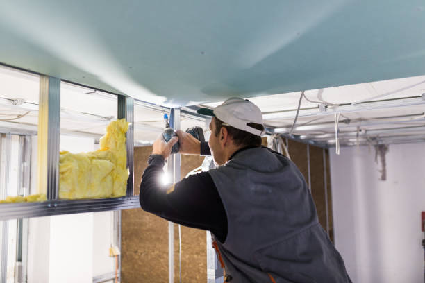Best Energy Efficiency Insulation in Chesapeake, OH